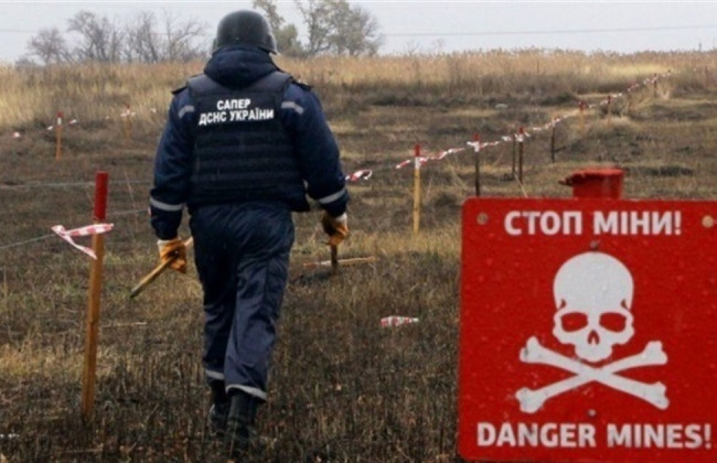 Стало відомо, скільки сільськогосподарських земель розмінували на Київщині