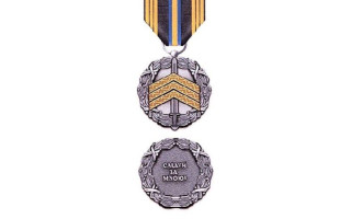 В Україні затвердили новий нагрудний знак для нагородження військових, фото
