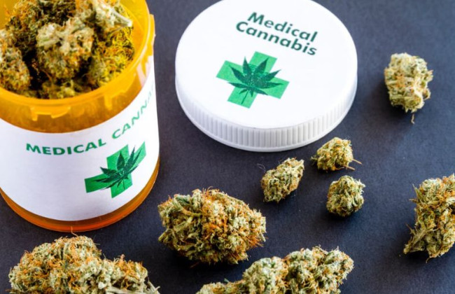 Верховна Рада на цьому тижні розгляне урядовий законопроєкт про легалізацію медичного канабісу — депутат