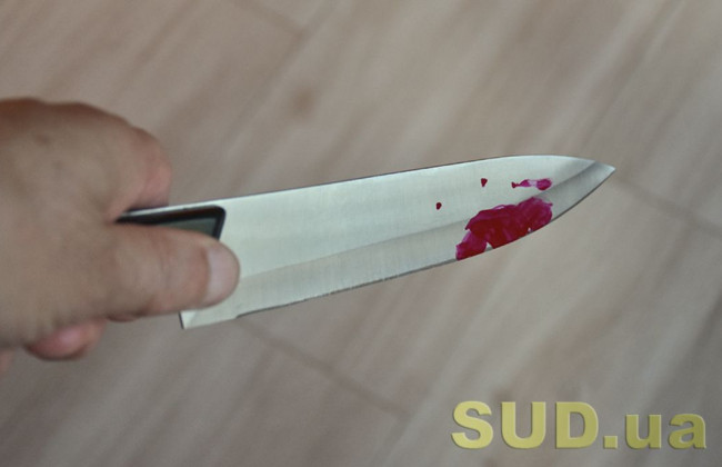 Суд наказал мужчину, который жестоко убил знакомую