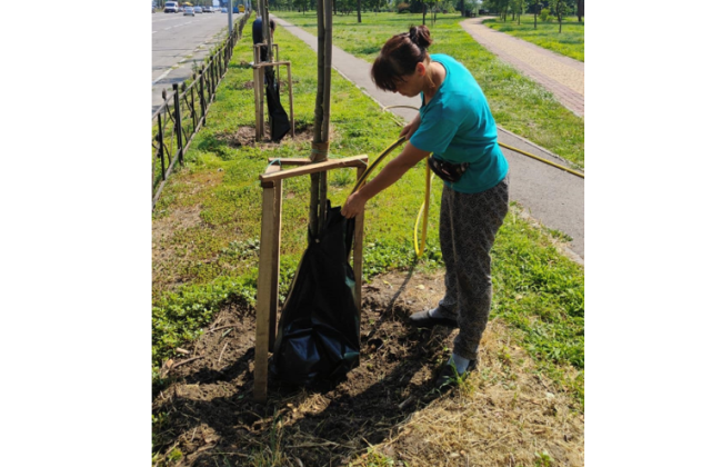 В Киеве тестируют сумки для полива деревьев: что у них особенного