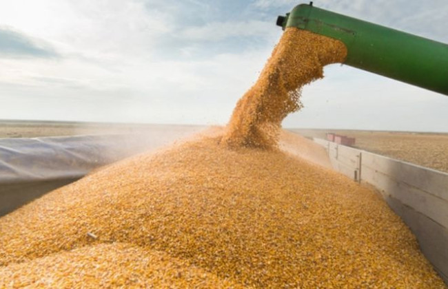 В рф заявили о прекращении действия «зернового соглашения»