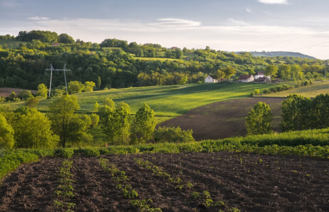 Землі фермерських господарств: актуальна судова практика у сфері земельних відносин