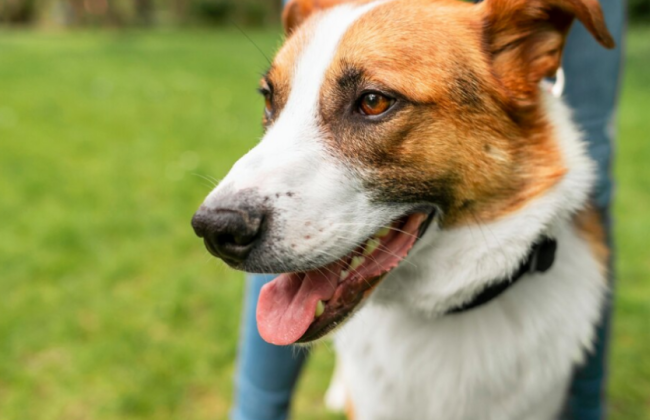 Какое состояние воздуха и радиационный фон в Киеве 21 июля