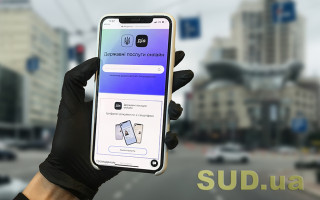 Федоров рассказал, что «Дия» вызывает у людей сексуальное возбуждение