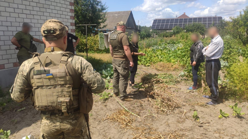 На Рівненщині прикордонники виявили насадження кущів снодійного маку, фото