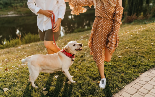 Какое состояние воздуха и радиационный фон в Киеве 23 июля