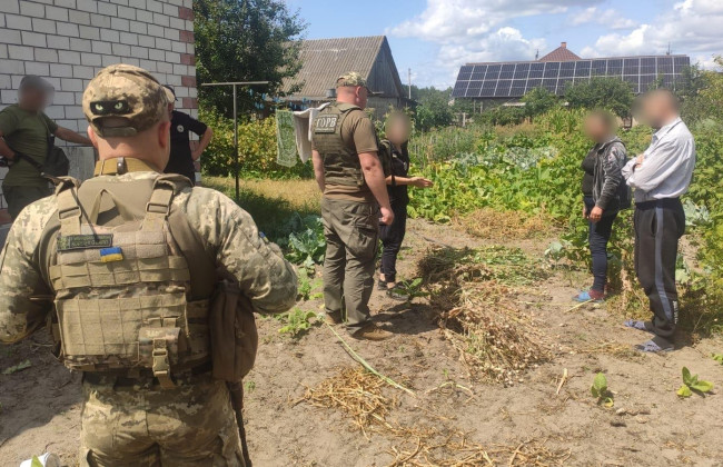 На Ровенщине пограничники обнаружили насаждение кустов снотворного мака, фото