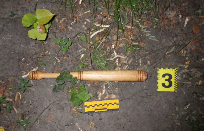 Киевлянин до смерти забил пожилого мужчину битой