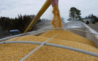 Німеччина і Франція проти продовження обмежень на експорт українського зерна до 5 країн ЄС