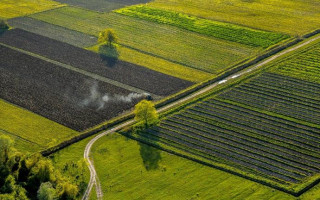 Рада прийняла зміни до законодавства щодо підвищення ефективності використання земель
