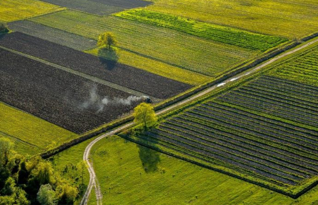 Рада прийняла зміни до законодавства щодо підвищення ефективності використання земель