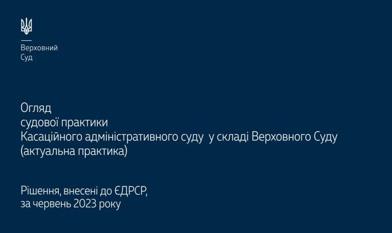 Звільнення від обов’язку сплати митних платежів та права ВПО на отримання допомоги: огляд практики ВС