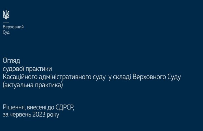 Освобождение от обязанности уплаты таможенных платежей и права ВПЛ на получение помощи: обзор практики ВС