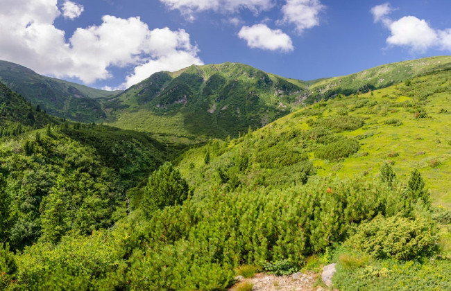УЗ запускает дополнительный поезд из Киева в Карпаты