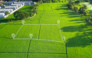 Оренда земельної ділянки державної і комунальної власності: з якої дати платити
