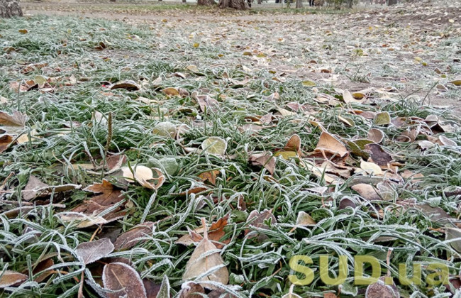 Синоптики предупредили украинцев о ранних морозах