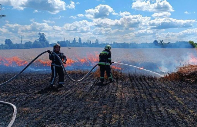 В Киевской области горело поле с пшеницей, фото