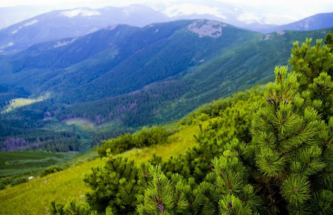 В Карпаты с велосипедами: УЗ запустит дополнительный удобно обустроенный поезд