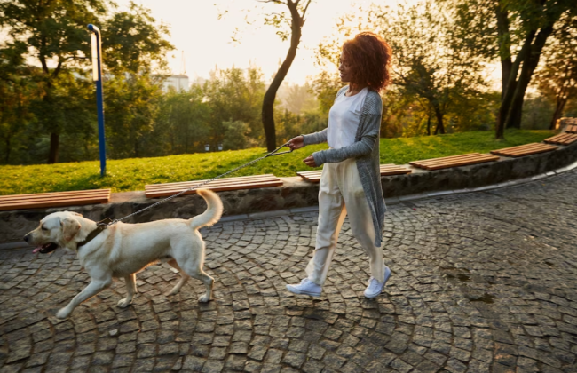 Який стан повітря та радіаційний фон у Києві 1 серпня