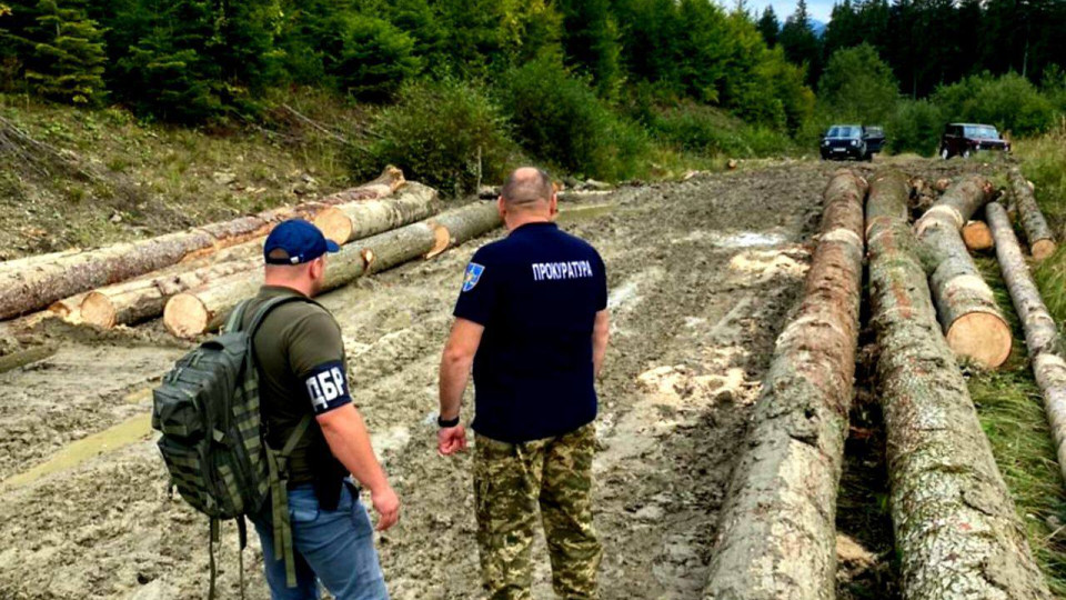 Нарубили более чем на 2 млн грн: на Буковине разоблачена преступная группа лесников