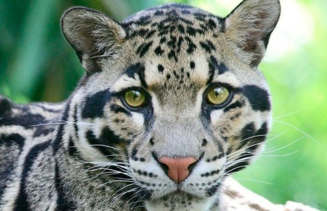 4 серпня: яке сьогодні свято та головні події