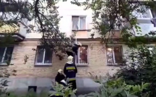 В Борисполе 5-летняя девочка хотела спуститься из окна 2-го этажа по канату, видео