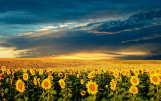 Вихідні у серпні: скільки відпочиватимуть українці