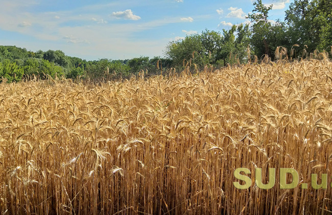 Какие основания для отказа в государственной регистрации: объяснение