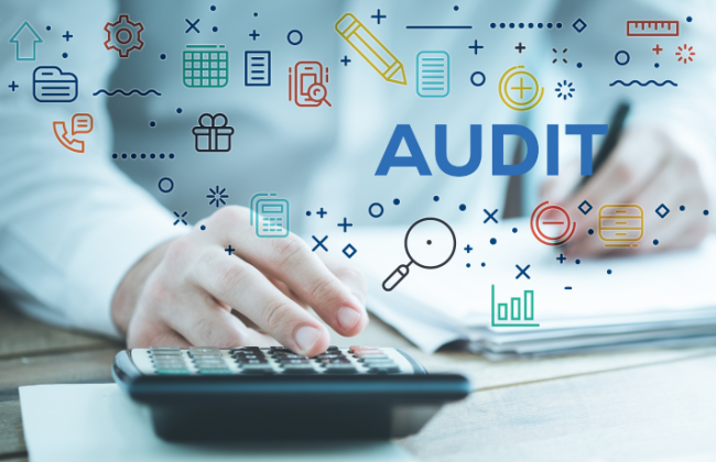 Опубликован план-график проведения документальных проверок плательщиков: кто в него попал