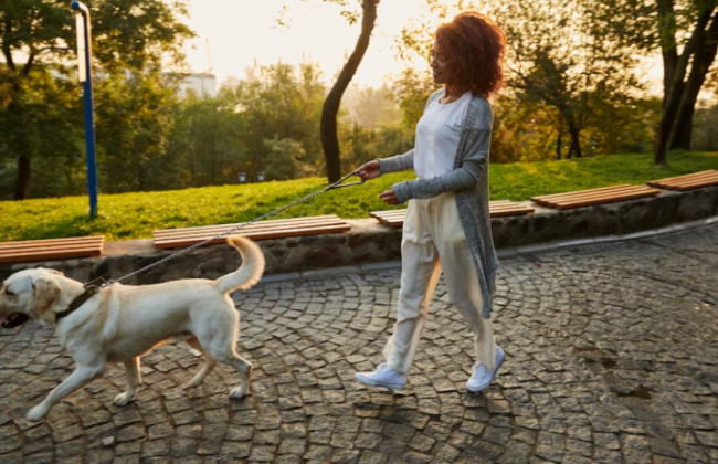 Какое состояние воздуха и радиационный фон в Киеве 10 августа