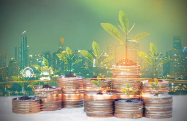 ДПС роз’яснила, чи є філії платниками екологічного податку