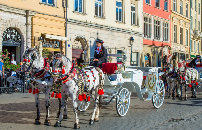 Прогнозируют сильную жару: на главную площадь Кракова запретили въезд конных экипажей