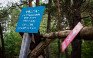 Російські ДРГ намагалися прорвати кордон в Чернігівській області, відбувся бій