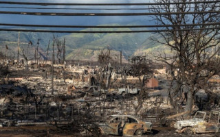 В лесных пожарах на Гавайях уже погибли более 100 человек