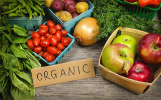 В Украине заработал Государственный реестр операторов органической продукции