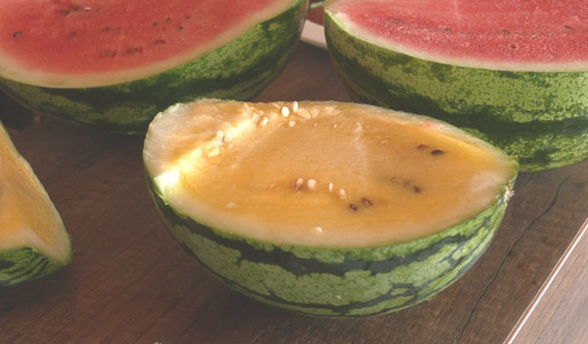 Чернігівський фермер вирощує різнокольорові кавуни