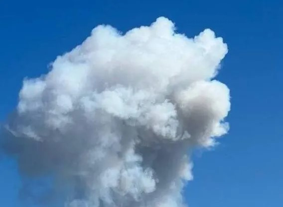 В Крим завітала «бавовна»