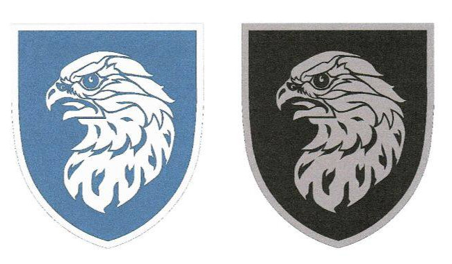 В Минобороны представили новые нарукавные знаки для воинов Воздушных Сил