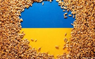 Пять стран ЕС планируют продолжить блокировать импорт зерна из Украины