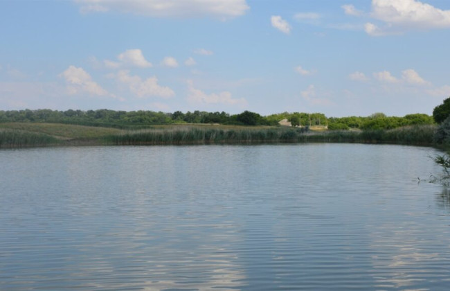 На Кіровоградщині підприємець майже 5 років не платив оренду за ставок: що вирішив суд