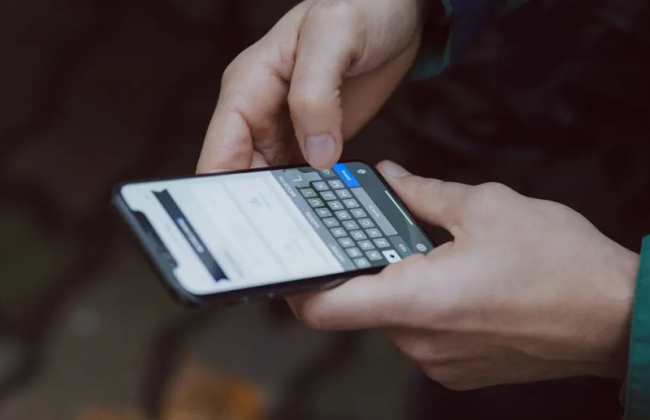 В Эстонии планируют разрешить голосовать на выборах с помощью смартфонов