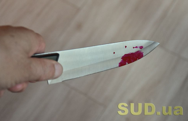 250 ножових ударів: ВС прийняв рішення у справі чоловіка, який жорстоко вбив матір