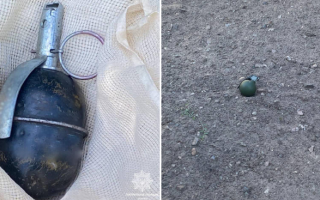 В Киеве на проспекте Отрадном на свалке нашли подозрительный предмет – предположительно гранату