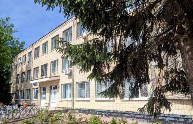 Суддя виправдав військовозобов’язаного, який не з’явився за повісткою, вказавши, що закони України є «авторськими творами»