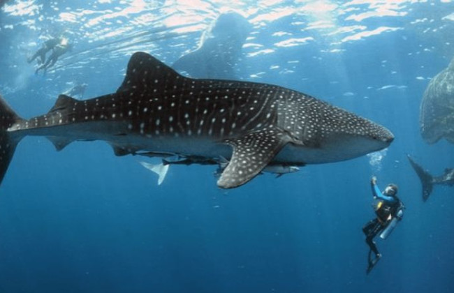 30 серпня: яке сьогодні свято та головні події