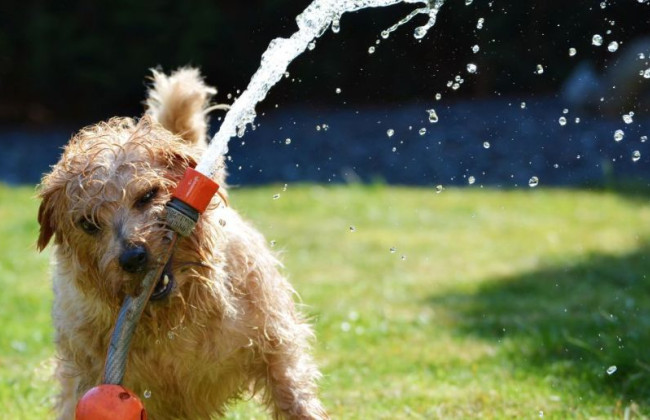 У Києві третій день поспіль фіксують температурні рекорди