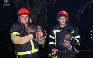 На Хмельнитчине во время пожара в ресторанном комплексе пожарные спасли 6 щенков, видео