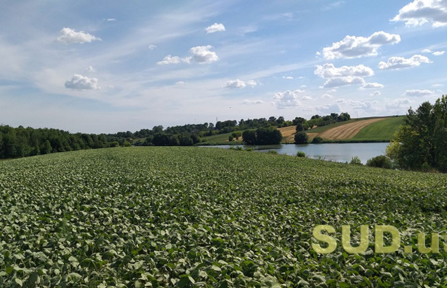 В Киевской области адвокат входил в преступную группу, которая занималась мошенничеством с землей