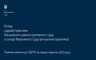 Справи щодо захисту соціальних прав та щодо податків і зборів: огляд практики КАС ВС